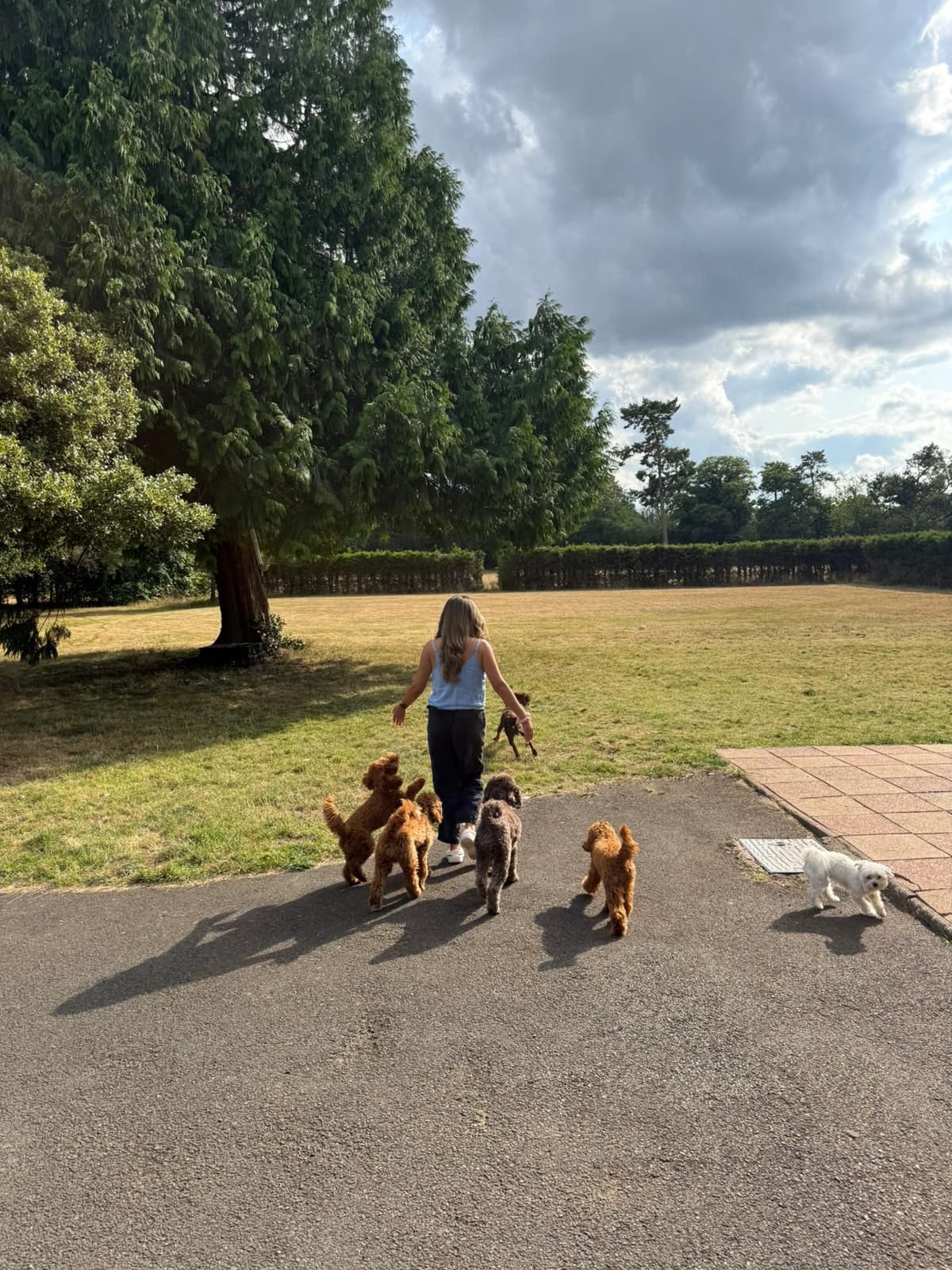 Doggy Daycare